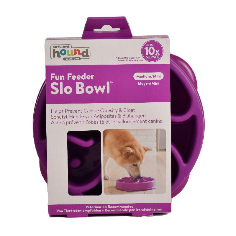Outward Hound Fun Feeder Slo Bowl, Slow Feeder Dog Bowl, Medium/Mini,  Turquoise