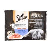 Sheba Υγρή Τροφή για Γάτες με Σάλτσα από Ψάρι 4x85 g