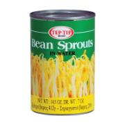 Teptip Bean Sprouts In Water 412 g