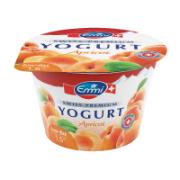 Emmi Swiss Premium Yoghurt Apricot 100 g
