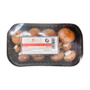 Prepacked Portobellini Small Brown Mushrooms 500 g