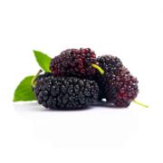 Local Mulberries 125 g