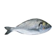 Levantina Fish Sea Bream Scaled and Gutted 700 g