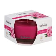 Bolsius True Scents Fragranced Candle Peony 63x90 mm 1 Piece
