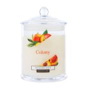 Colony Mandarin Peach Fragranced Candle Glass 120 g