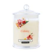 Colony Wild Honeysuckle Fragranced Candle Glass 120 g