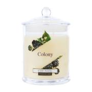 Colony Berry Picking Fragranced Candle Glass 360 g