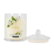 Colony Jasmine & Oud Wood Fragranced Candle Glass 360 g