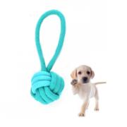 Dogs Collection Dog Toy Assorted Designs