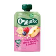 Organix Bio Oatmeal, Apple, Banana, Raspberry & Blueberry 12+ Months 100 g