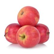 Pink Lady Apples 1200 g