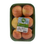 Bio Karpos Imported Gala Apples 1 kg